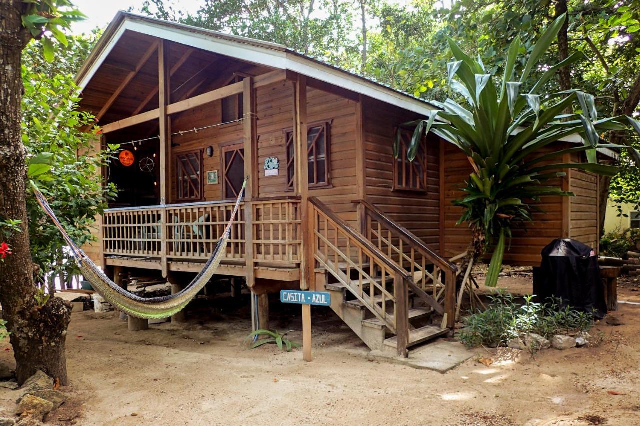 Blue Island Divers Casita Azul Sandy Bay Exteriér fotografie