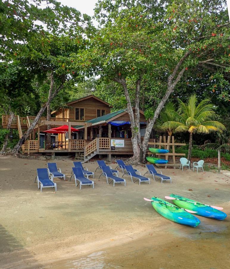 Blue Island Divers Casita Azul Sandy Bay Exteriér fotografie