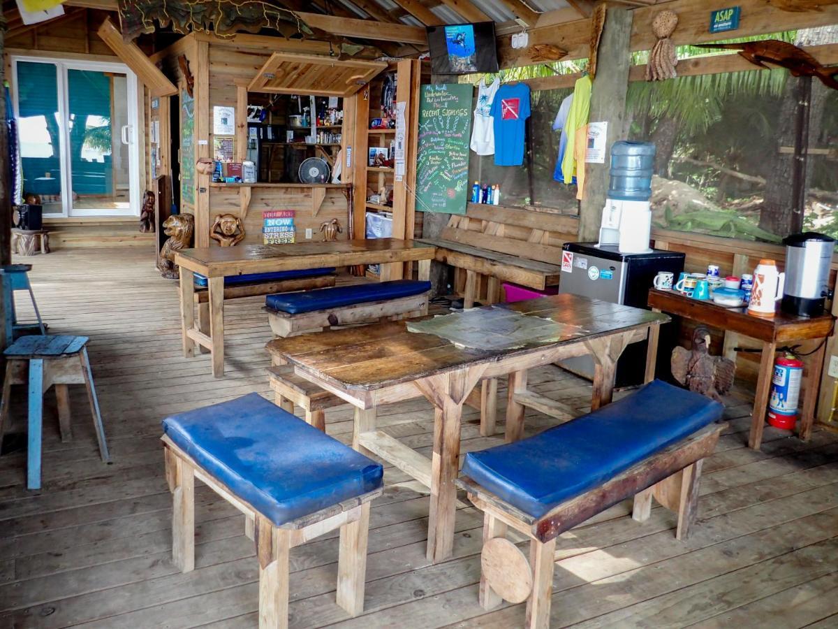 Blue Island Divers Casita Azul Sandy Bay Exteriér fotografie