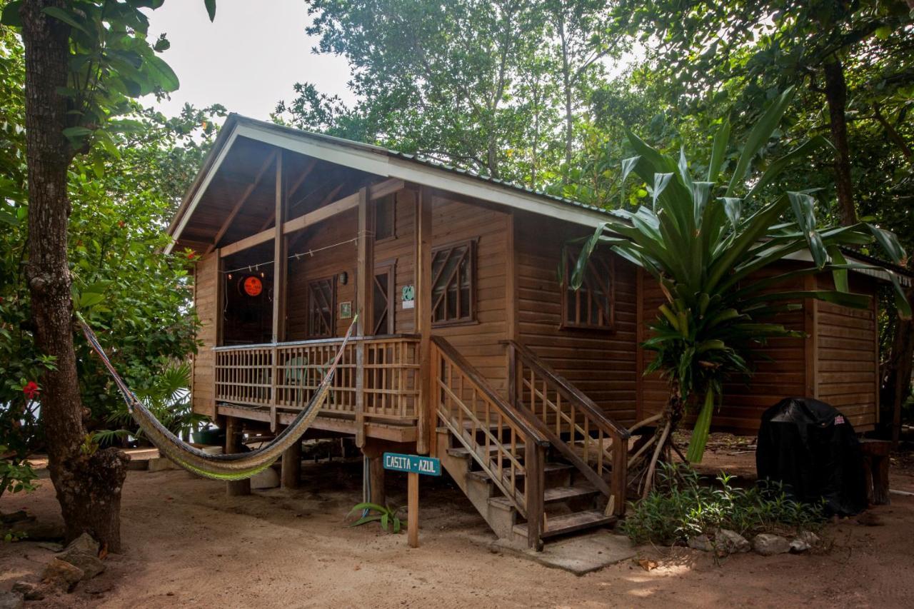 Blue Island Divers Casita Azul Sandy Bay Exteriér fotografie